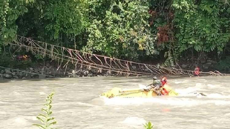 Papua Pegunungan