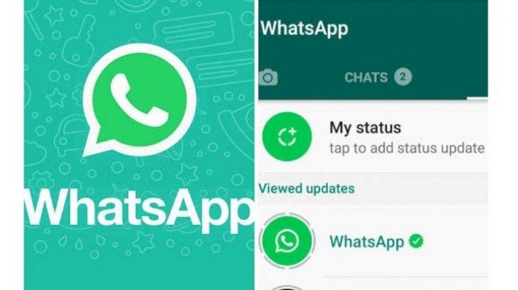 cara membuat status video