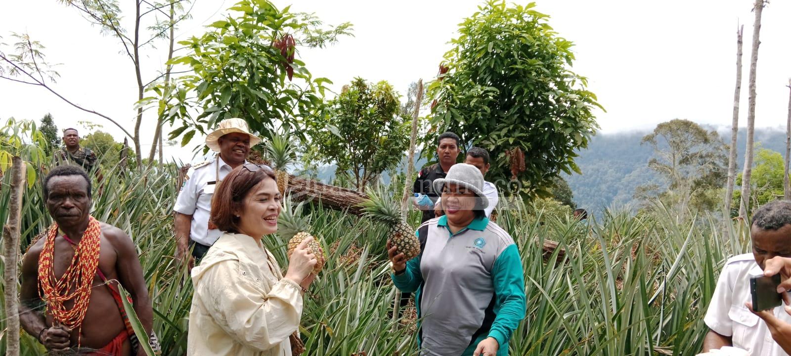 Nanas Kampung Duweibey